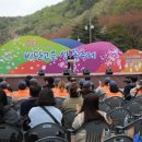 산꽃벚꽃오토캠핑장 이미지