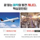 몽항공여행사
