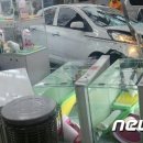 명애견센터 뉴스1