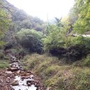 양강농장 이미지