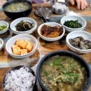 웅촌할매추어탕 이미지