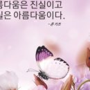 조명희스킨케어