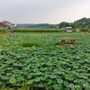 연풍1리 이미지