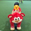 무주안성터미널 | 직접 다녀온 2025 무주 반딧불 축제 낙화놀이 명당, 주차 꿀팁 공개!