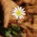 해솔 태권도 이미지