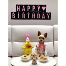 하리보양집 이미지