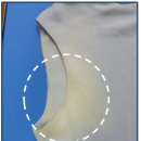 현대세탁 이미지