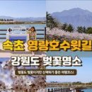 영랑호수공원 이미지