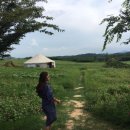 (주)아미랜드 이미지