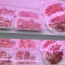 자인가든 이미지