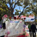 증평군청소년문화의집 | 서울 초등 청소년 원예수업 추천│ 강동구청소년문화의집 출장 후기