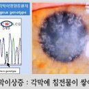 (주)루미아이제네틱스 이미지