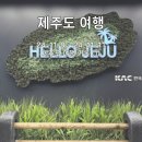 제주도 동쪽 여행 (1) 대구공항/작제도 흑돼지 장작구이/산굼부리/보메와산펜션 감귤 체험/동문재래시장