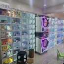 사격 굿 뽑기 이미지