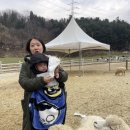 주아목장 이미지