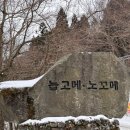 큰노꼬메오름주차장 | 한라산 전면통제 때 갈 만한 오름｜큰노꼬메오름 (등산 초보·아이 동반 가능)