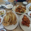 신팔도강산