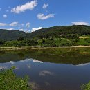 연꽃마을건넌들 이미지