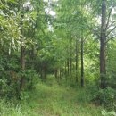 석문면사무소 이미지