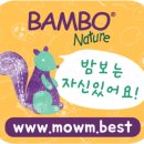 그린밤보 네이버블로그