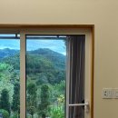 산내지우디 이미지