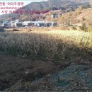 수안보초교 병설유치원 | 충주시 토지(답) 경매, 수안보면 안보리 토지(답) 경매