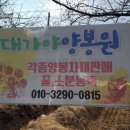 하나둘셋영농조합법인 이미지