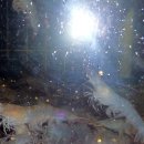 청솔셀프세차장 이미지