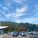 그린파크카 이미지