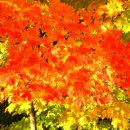 배산체육공원 건너편 이미지