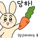 청주명품삼계탕