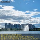 한류월드로+월드고양로 이미지