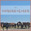 샤인카 엔 바이크 | [키르기스스탄] 7. 카자흐스탄에서 키르기스스탄으로, 국경 넘어 카라콜까지