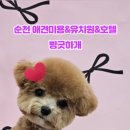 빵긋하개 이미지