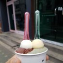 당돈 티스토리
