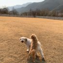 스테이화양연화 이미지