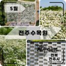 전주카페수목원