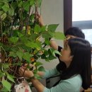 풀잎 작은도서관 이미지