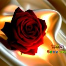 아름다운 꽃 이미지 / 5월 한 달 감사했습니다 이미지