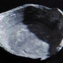 월평7호 이미지