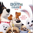 마이펫의 이중생활 이미지