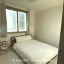 해피독 애견펜션 이미지