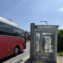 우도한반도여 입구해변 | 제주도 우도 가는법 성산항 배편 가격 배시간 결항 확인 방법