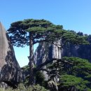 ♣️ 산문회(山文會) 청계산(淸溪山) 옥녀봉 산행(山行) ... !!