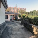 선인장 여관 이미지