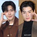 세종뷰티의원 | 김선호 세금 납부·차은우 세종 선임 판타지오의 상반된 행보