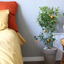 THE 끌림 이미지