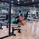 백본 휘트니스 이미지