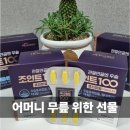 조인트 | 관절영양제 찾다가 어머니께 선물한 조인트100 후기