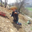 개나리산장 이미지